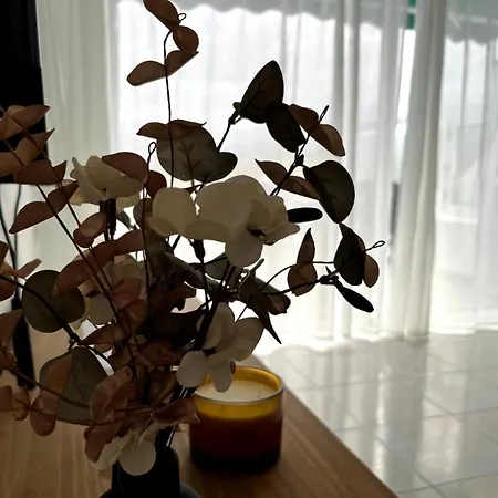 La Mar Лос-Реалехос